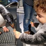 Mejores cosas que hacer en Barcelona con niños 2024 exhibit-at-cosmocaixa-barcelona.jpg