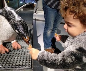 exposição na cosmocaixa barcelona