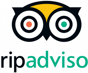 1200px Logotipo do TripAdvisor.svg