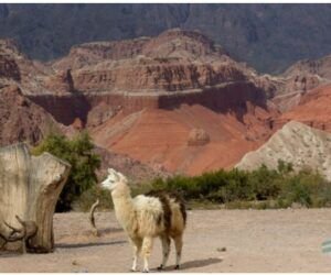 Sudamérica salvaje: los caminos más impactantes de Perú y Argentina