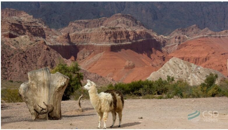 Sudamerica Salvaje Perú y Argentina