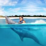 ¿Dónde Nadar con Delfines en Punta Cana Downtown es tu Mejor Opción