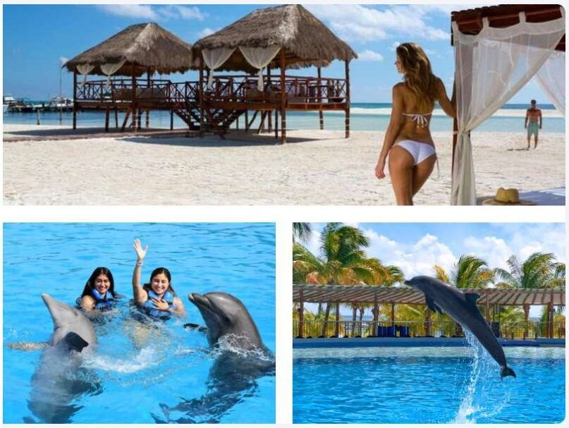 nado con delfines en playa del carmen