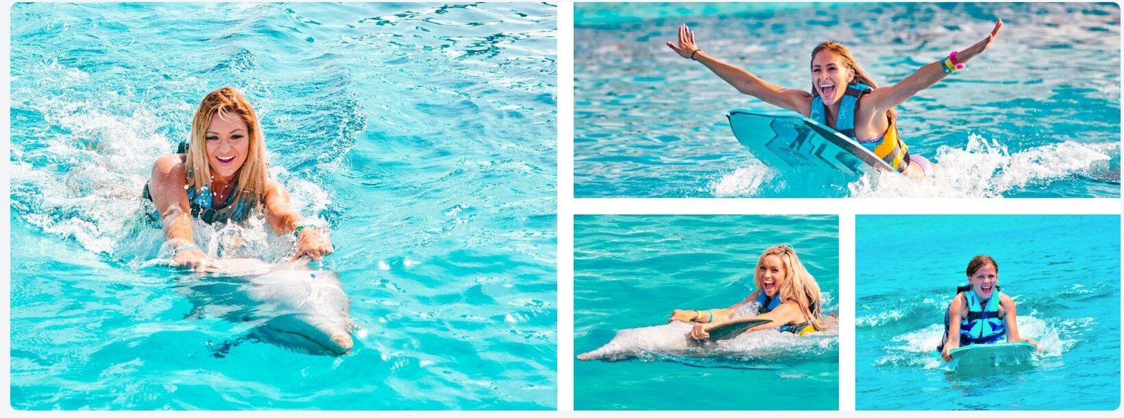 nado con delfines isla mujeres