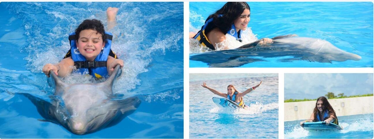 ¿Dónde Nadar con Delfines en Punta Cana? Downtown es tu Mejor Opción 3 nado con delfines punta cana
