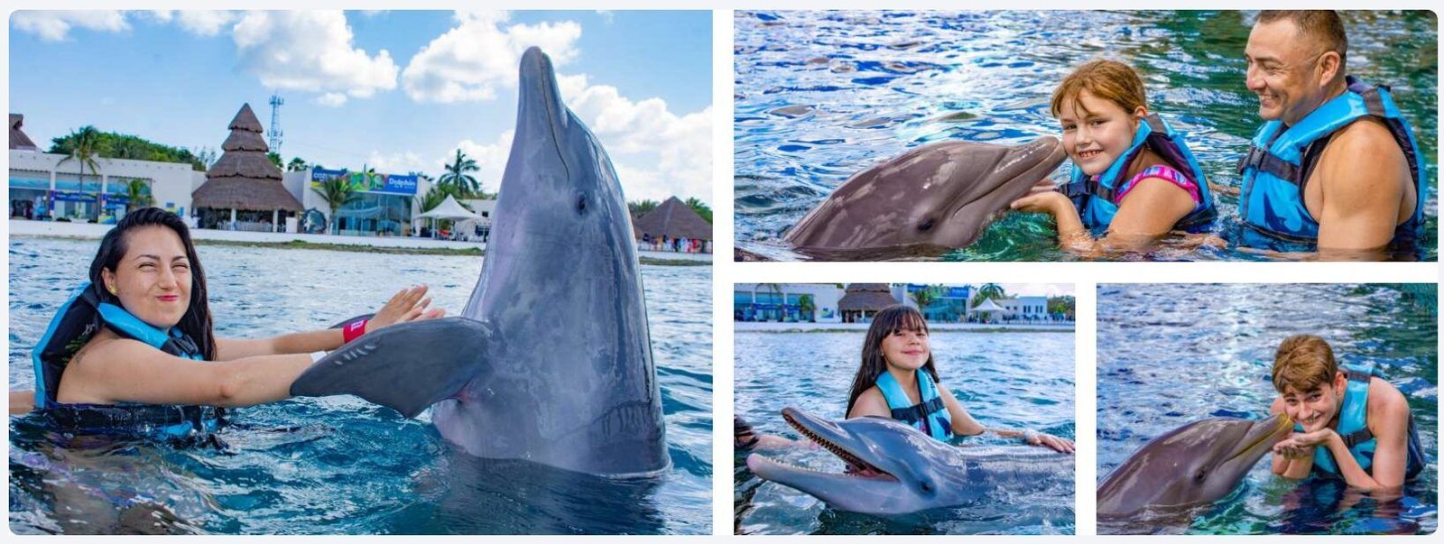 Actividades en Cozumel que no te puedes perder este 2025 2 nado con delfines