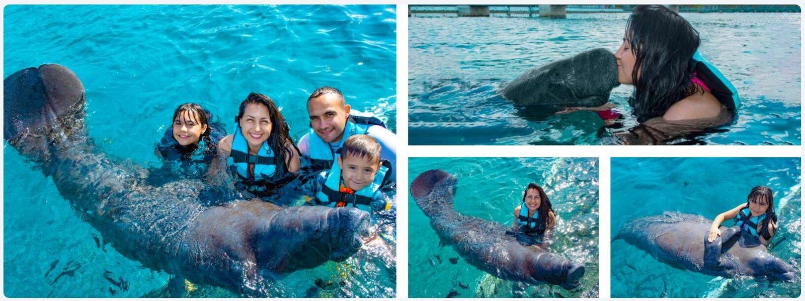 nado con manatis en Cozumel