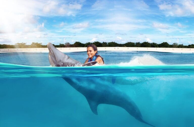 ¿Dónde Nadar con Delfines en Punta Cana Downtown es tu Mejor Opción