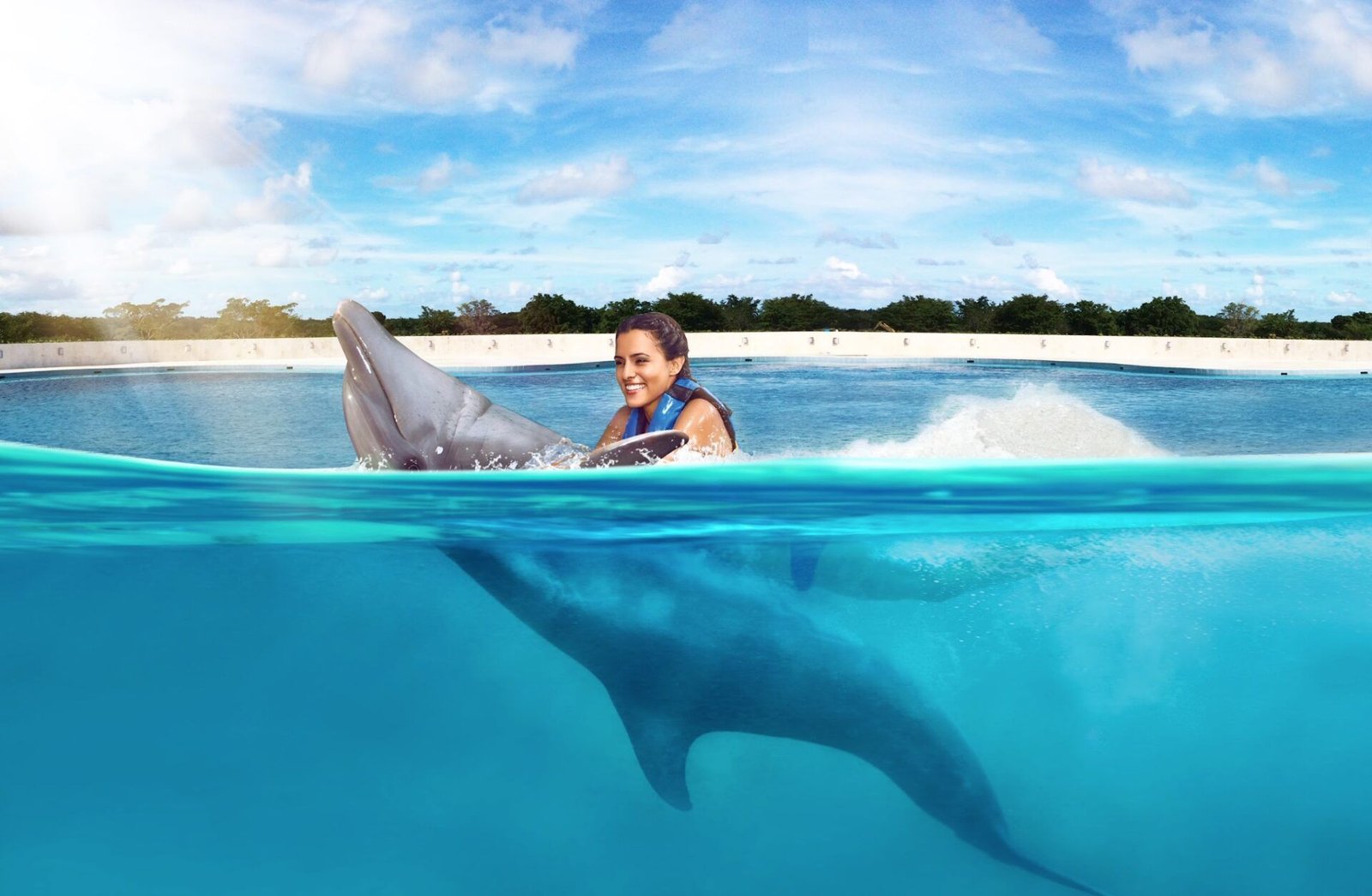 ¿Dónde Nadar con Delfines en Punta Cana Downtown es tu Mejor Opción